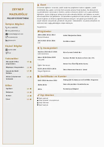 Felsefe Öğretmeni CV Örnekleri cv indir